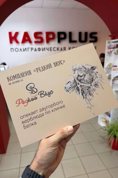 Таблички в Типографии Касп