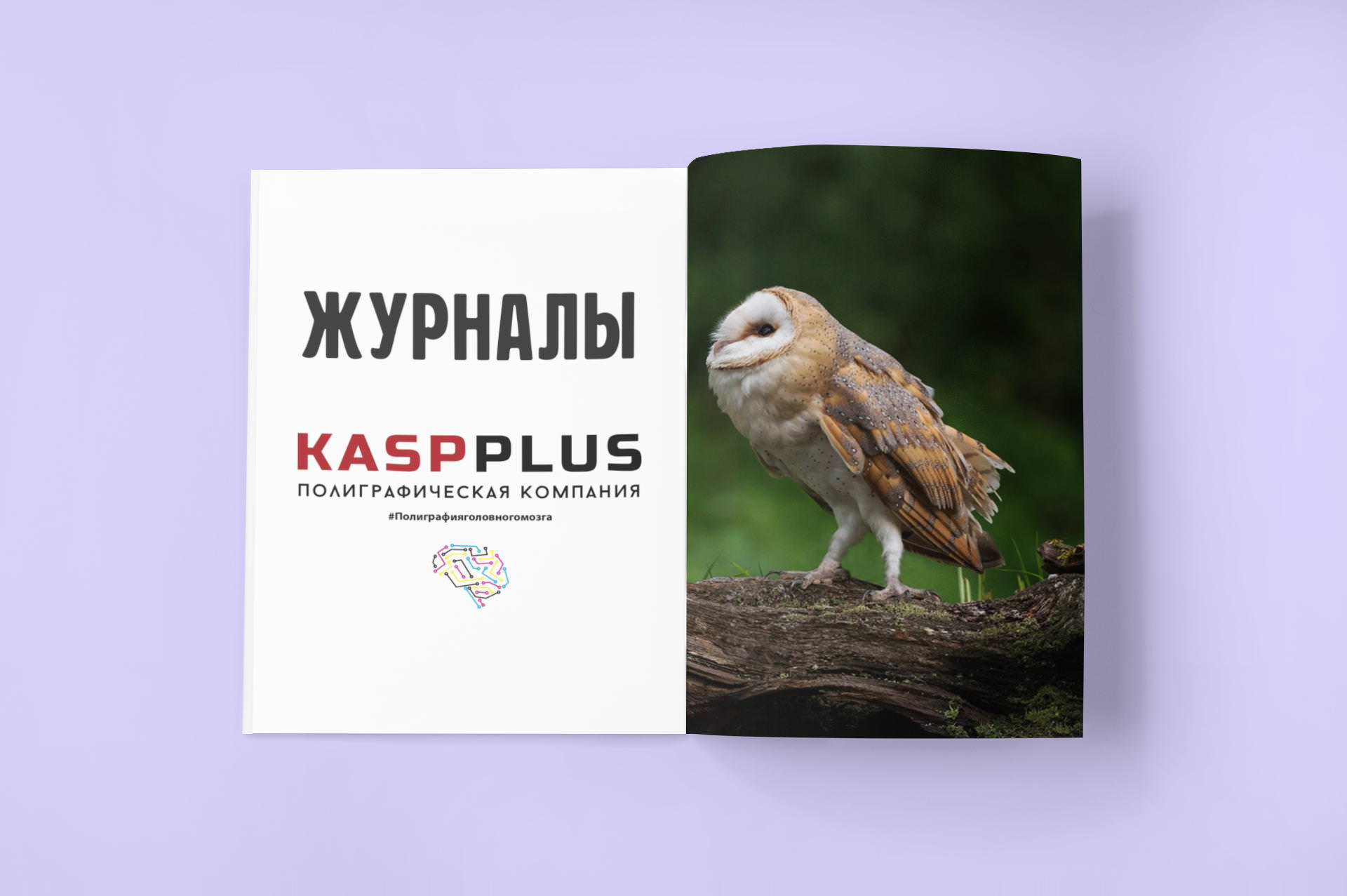 Печать журналов в Краснодаре
